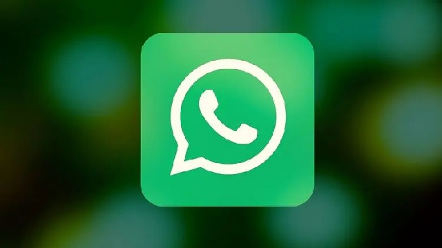 WhatsApp  1         -