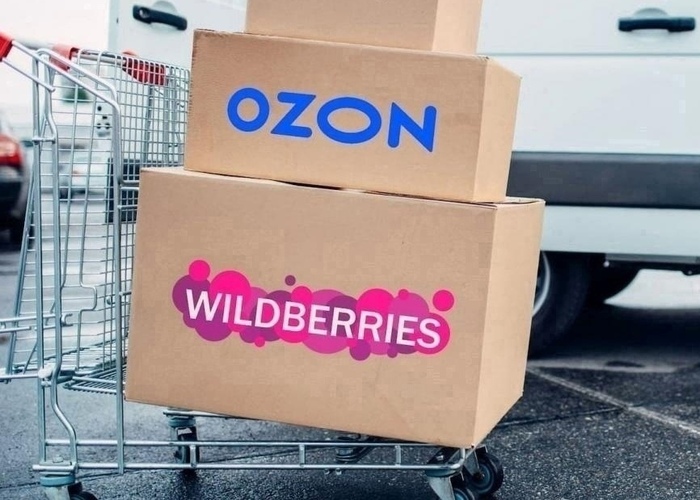       Wildberries  Ozon