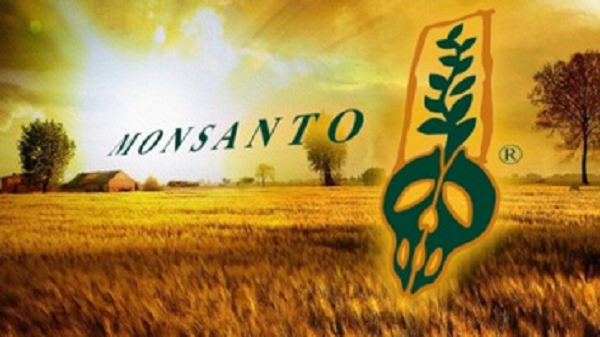   ,        Bayer-Monsanto?