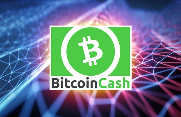    ,     Bitcoin Cash